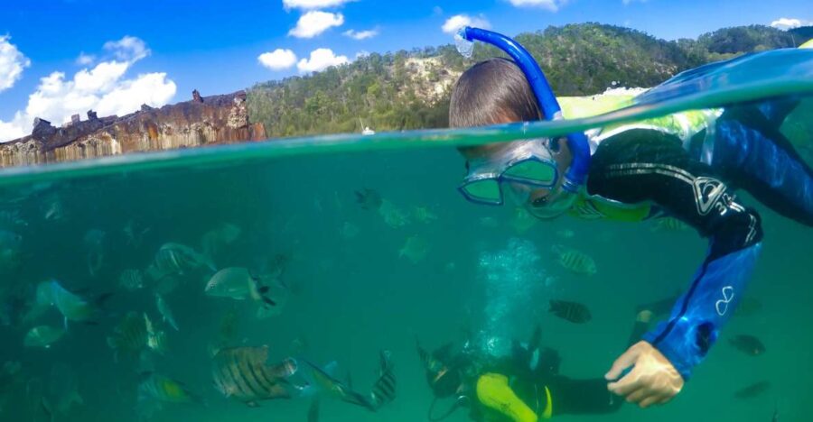 Moreton Island: Tangalooma Day Trip With Snorkeling Tour - Tour Details