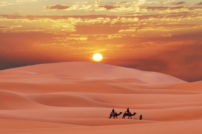 Morning Quad Biking & Red Sand Desert Safari , Camel Ride, Sand Boarding - Dune Bashing Safari in Dubai