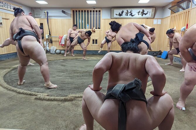 Morning Sumo Practice Viewing in Tokyo - Overview of Morning Sumo Practice