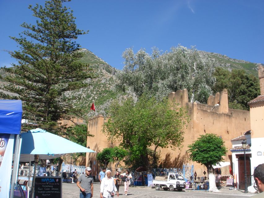 morocco-day-trip-with-tour-guide-and-lunch-from-algeciras-overview-of-the-day-trip