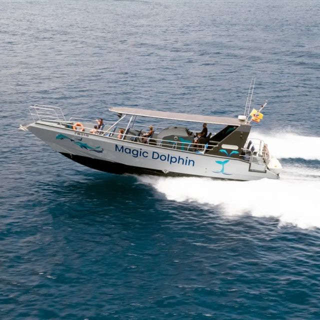 Morro Jable: Dolphin & Whale Watching Cruise, Drinks & Swim