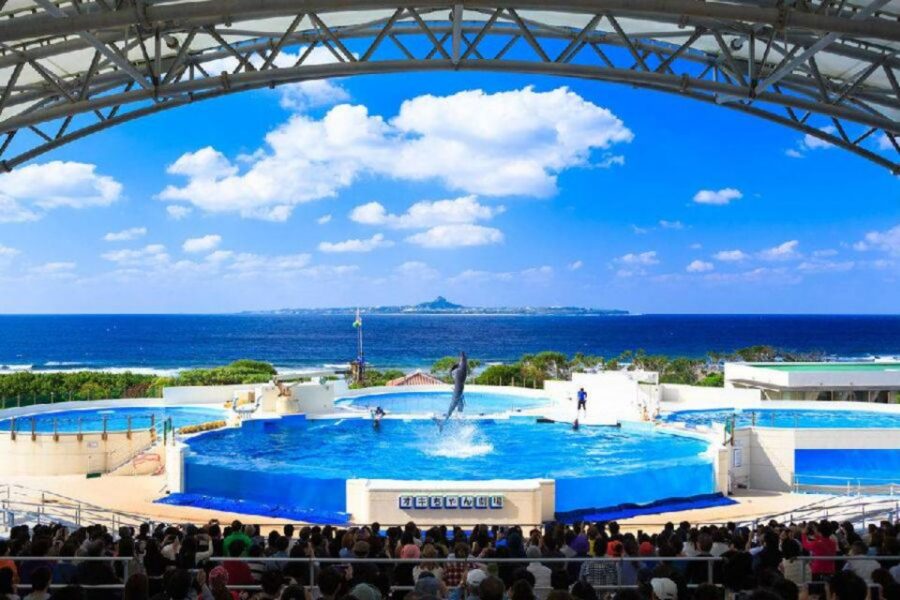 motobu-okinawa-churaumi-aquarium-entry-e-ticket-overview-of-okinawa-churaumi-aquarium