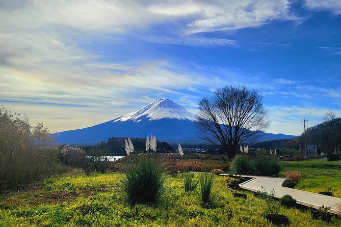 mount-fuji-and-hakone-full-day-private-sightseeing-tour-tour-overview