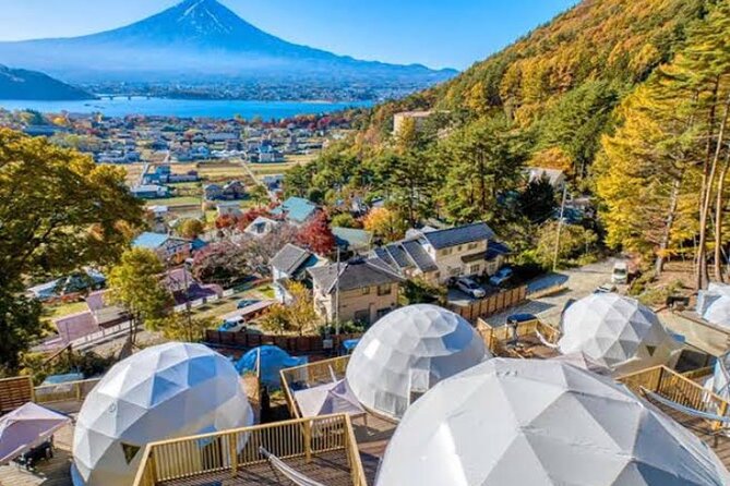 Mount Fuji and Hakone Private Tour With English Speaking Driver