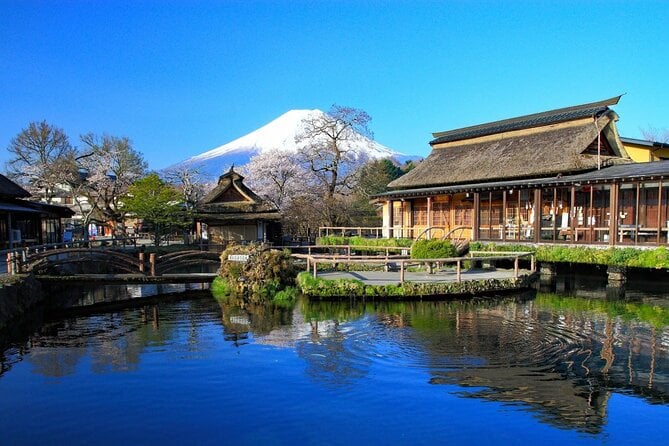 mount-fuji-day-trip-with-yamanakako-hot-springs-from-tokyo-tour-overview