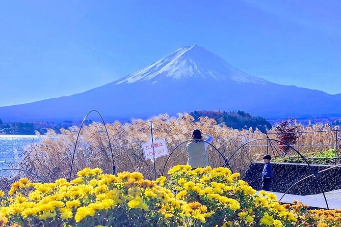 mount-fuji-private-one-day-tour-with-english-speaking-driver-highlights-and-tour-inclusions