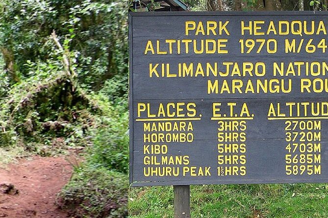 mount-kilimanjaro-day-hike-through-marangu-route-to-mandara-hut-overview-of-the-mount-kilimanjaro-day-hike