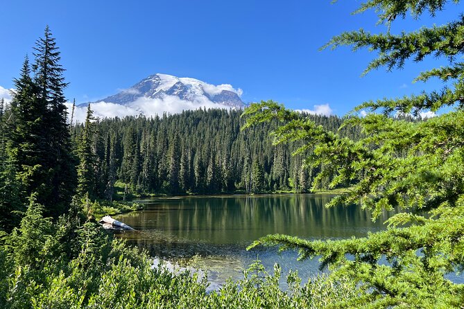 Mount Rainier Customized Tour From Seattle - Inclusions and Exclusions