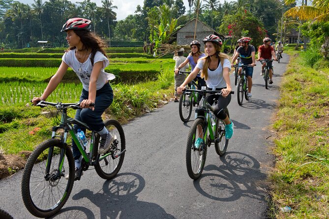 Mountain Cycling Tour