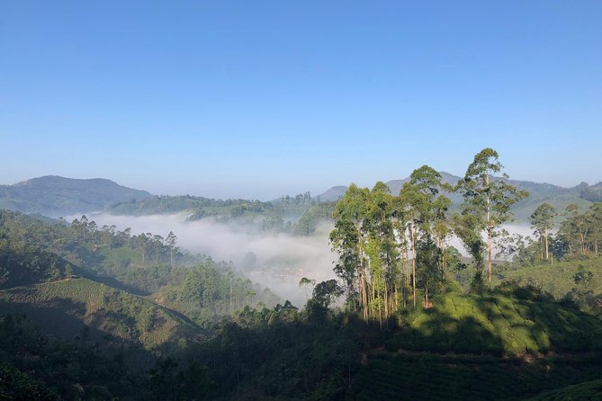 Mountain Hiking in Munnar (Half Day) by Munnar Info - Tour Overview