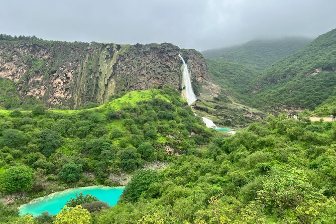 21 Best Tours In Salalah