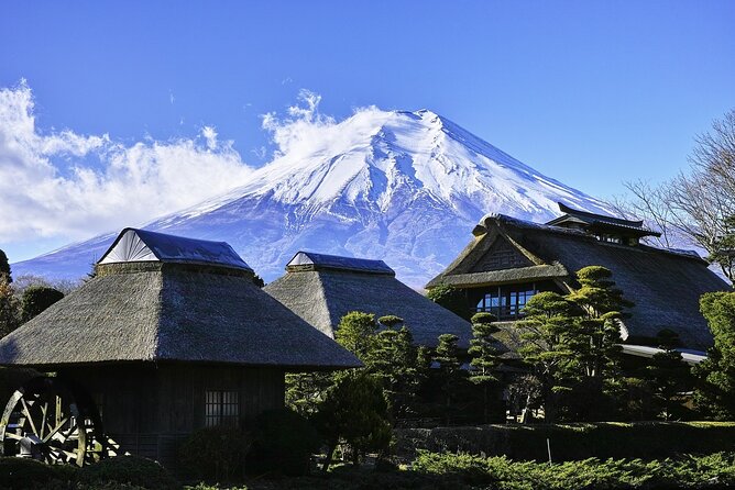 Mt Fuji :1-Day Private Tour With English-Speaking Driver - Inclusions in the Package