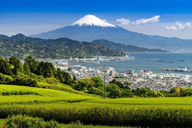 mt-fuji-and-hakone-private-group-tour-upto-9-persons-by-hiace-group-size-and-pickup