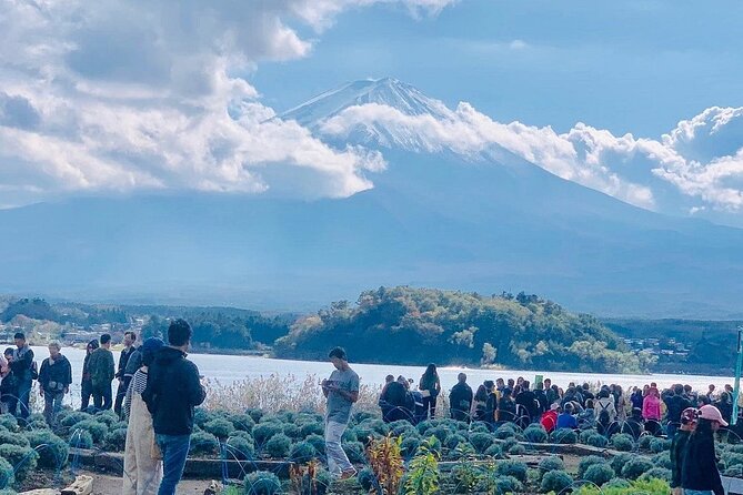 Mt. Fuji and Lake Kawaguchi Day Trip With English Speaking Driver