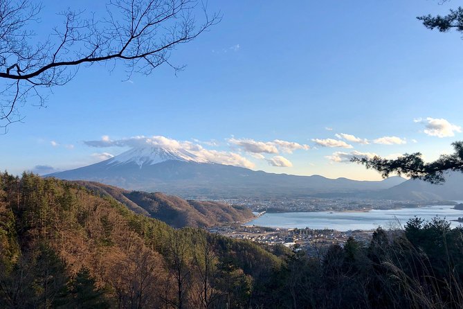 Mt Fuji Area Private Guided Tours in English-Nature up Close, Quiet, Personal - Exploring Breathtaking Landscapes