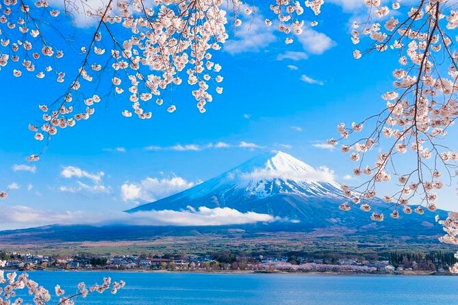 Mt. Fuji Five Lakes Area Private Tour With Licensed Guide(Kawaguchiko Area Dep) - Customizable Tour Options