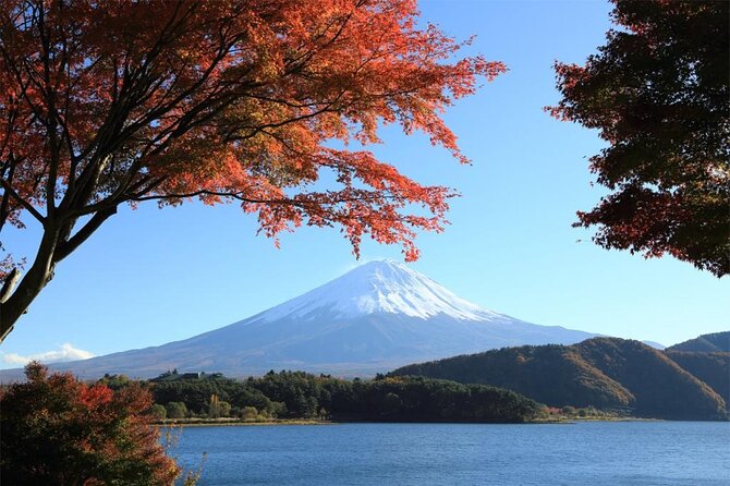 Mt. Fuji & Hakone Bullet Train 1 Day Tour From Tokyo Station Area - Overview of the Tour