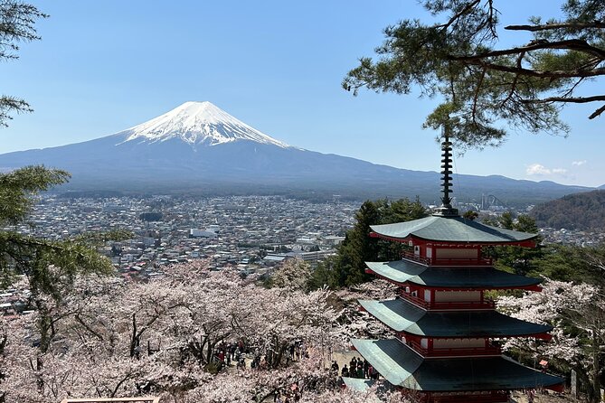 mt-fuji-hakone-tour-from-to-tokyo-yokohama-odawara-up-to-12-overview-of-the-tour