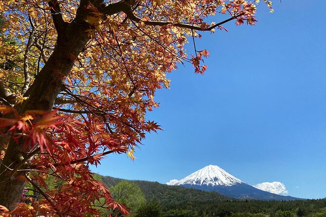 mt-fuji-japanese-crafts-village-and-lakeside-bike-tour-tour-overview