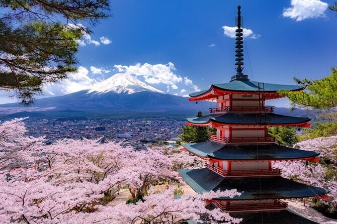 Mt. Fuji Private Tour From Tokyo With English Guide - Pickup and Timing