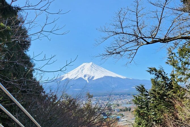 Mt Fuji Private Tour With English Speaking Driver