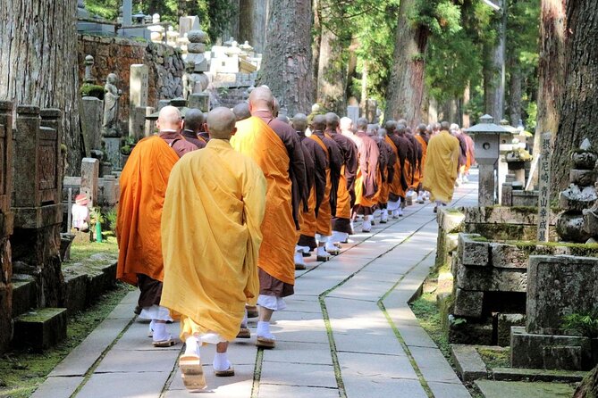 Mt Koya Full Day Tour From Osaka With Licensed Guide and Vehicle - Overview