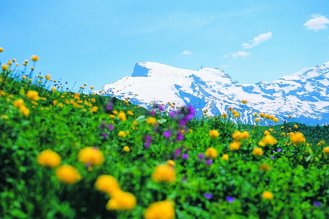 mt-titlis-glacier-paradise-tour-from-zurich-with-lucerne-meeting-point-and-logistics