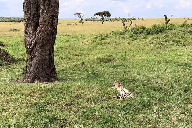 Multi-Day Tanzania Odssey Safari From Arusha