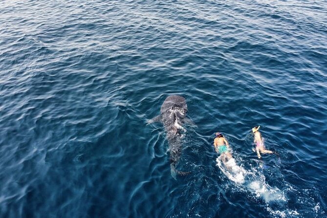 muscat-snorkeling-trip-to-daymaniyat-islands-meeting-point-and-pickup-details