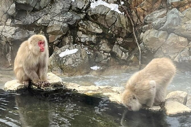 nagano-full-day-tour-jigokudani-snow-monkey-park-zenkoji-temple-tour-overview