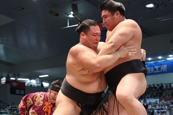 nagoya-grand-sumo-watching-tour-with-lunchchair-a-or-box-b-seat-overview-of-the-experience
