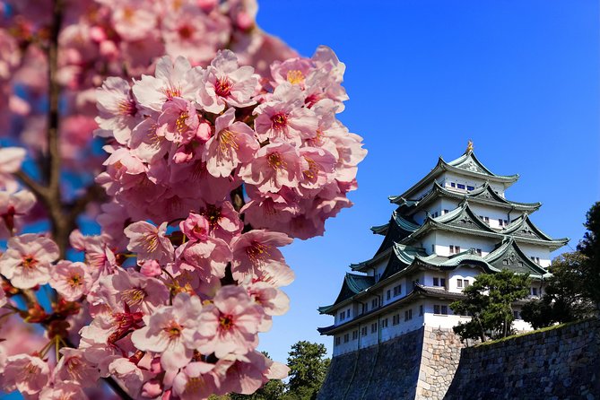 nagoya-half-day-tour-with-a-local-100-personalized-private-tour-overview