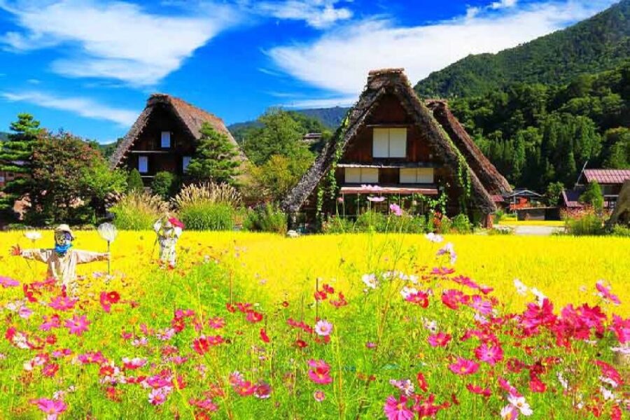 Nagoya: Shirakawa-go Village and Takayama UNESCO 1-Day Trip - Tour Overview