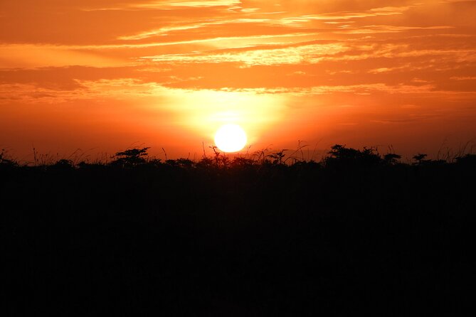 Nairobi National Park Drive (Small Group Tour)