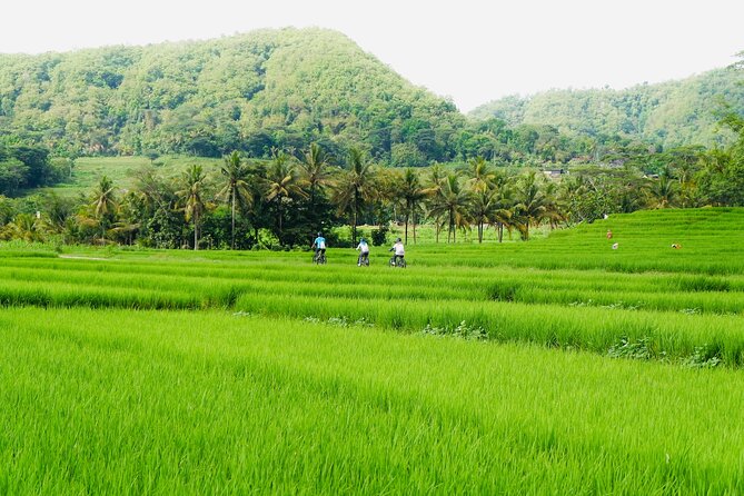 Nanggulan - Village Fun Cycling - Exploring Nanggulans Countryside