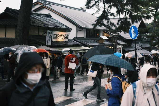 Nara Heritage Walkabout From Nara Park to Todaji Temple - Stunning Todaiji Temple