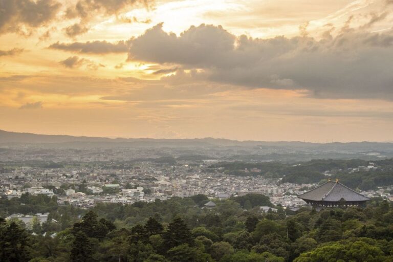Nara Like a Local: Customized Guided Tour