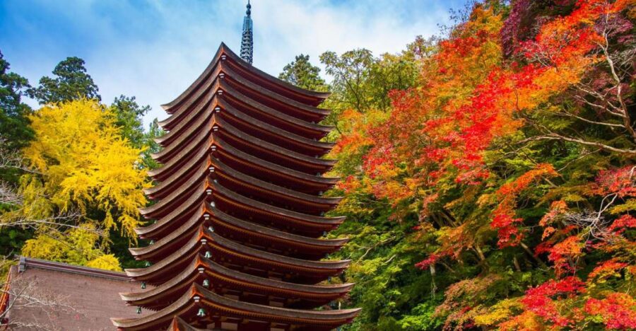 nara-private-tour-with-private-guide-tour-overview