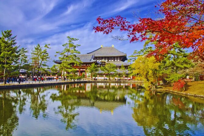 Nara, Todaiji Temple & Kuroshio Market Day BUS Tour From Osaka - Overview of the Tour