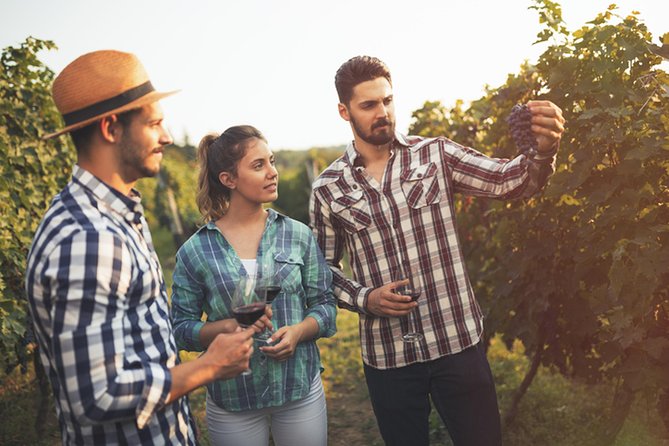 naramata-wine-tour-from-kelowna-4-wineries-inclusions