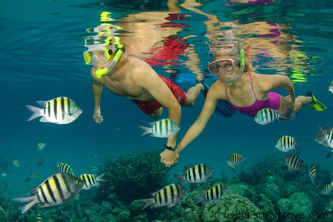 nassau-shore-excursion-bahamas-snorkel-adventure-meeting-and-pickup-information