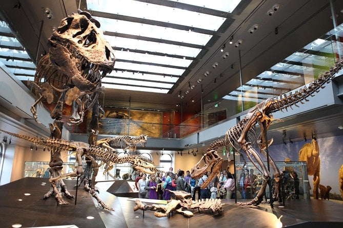 natural-history-museum-of-los-angeles-county-admission-museum-highlights