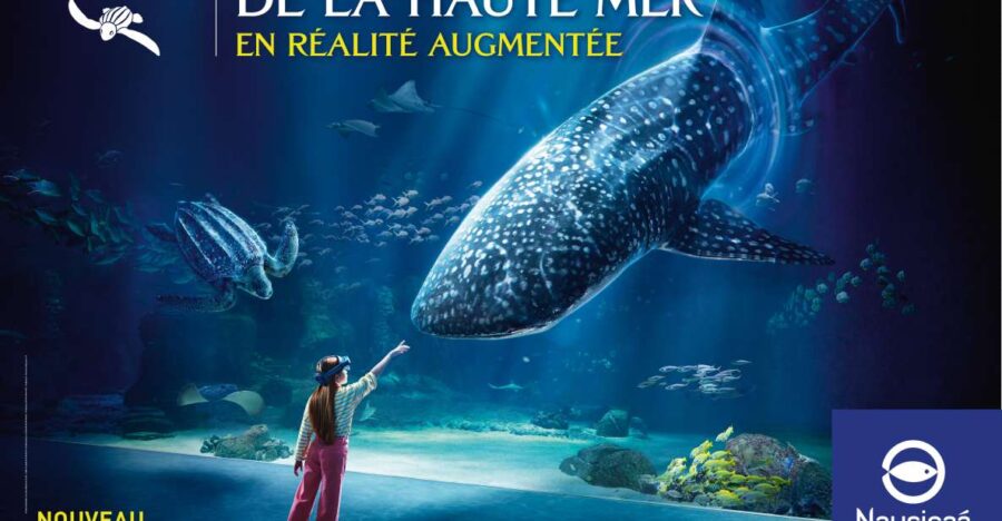 Nausicaa National Sea Center: Full-Day Entry Ticket - Attraction Overview