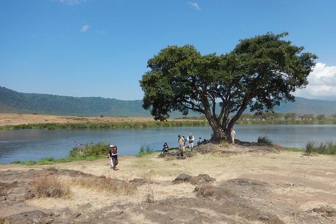ngorongoro-adventure-day-tour-from-arusha-highlights-of-the-day-trip