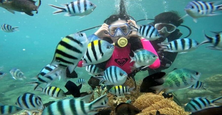 Nha Trang: Coral Reef Scuba Diving and Floating Bar Party