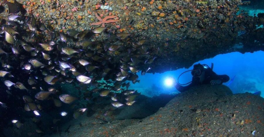 nha-trang-professional-scuba-diving-for-certified-divers-overview-of-the-activity