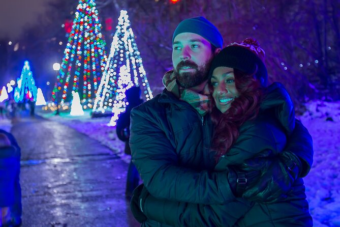 Niagara Helicopters Winter Lights at Night Tour - Meeting Point and Accessibility