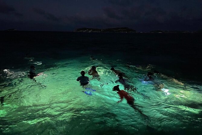 Night-Time Snorkel at Turtletown With Stars, Lights, and Photos - Inclusions and Equipment