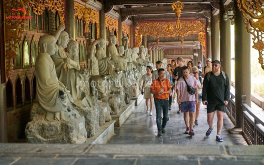 Ninh Binh Tour: Bai Dinh - Trang An - Cycling 1 Day - Tour Overview