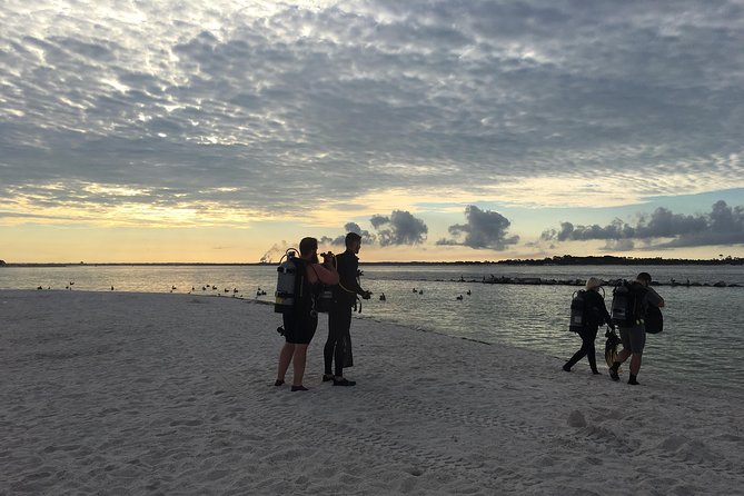 no-experience-required-to-discover-scuba-in-florida-schedule-and-departure-details